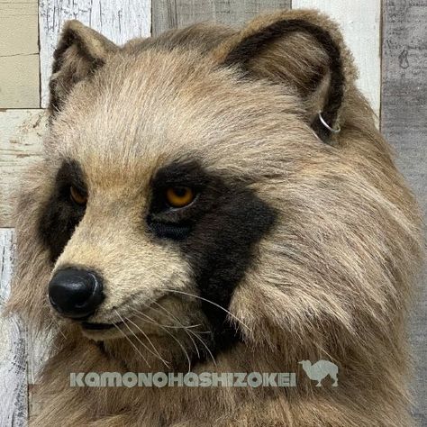 Raccoon Fursuit, Realistic Fursuit, Raccoon Mask, Environment Drawing, Mask Inspiration, Kemono Fursuit, Fur Suits, Fursuit Head, Fur Suit