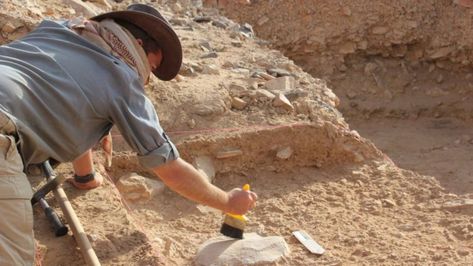 New Research Shows How Primitive Humans Got Extinct Due to Laziness Homo Erectus, Extinct Species, Australian National University, Archaeology News, Early Humans, Making Tools, Dream Job, Ancient History, Archaeology