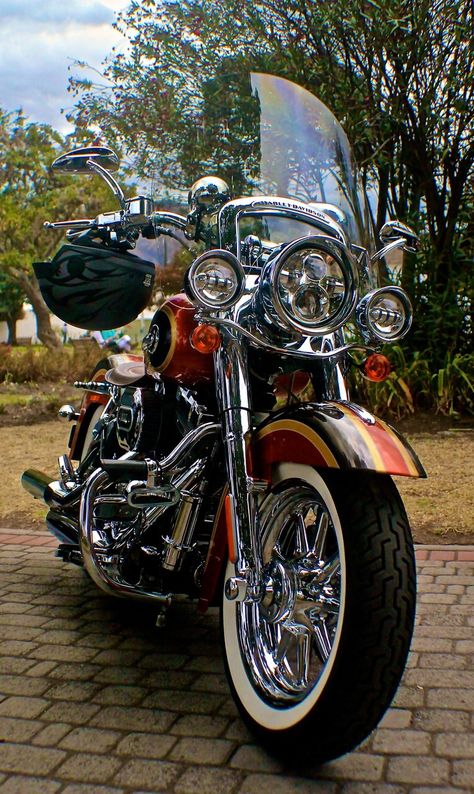 #Harlistas #harleydavidson #HarleyDavidsonEcuador By Rodrigo Toscano MD Motorcycles Harley Davidson, Ghost Photography, Pretty Bike, Biker Art, Yamaha Motorcycle, Bmw Motorcycle, Bobber Chopper, Cool Motorcycles, Racing Motorcycles