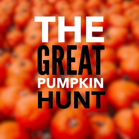 In a few weeks, we're having a hoe-down. You can find hoe-down ideas here. As one of the opening mixers, we're doing a Pumpkin Hunt. It's similar to an Easter Egg Hunt, but the prizes aren't inside the pumpkins, instead it is more like a raffle. You could also do… Pumpkin Hunt Ideas, Pumpkin Hunt, The Great Pumpkin, Plastic Pumpkins, Great Pumpkin, Young Life, Pumpkin Theme, Mini Pumpkins, Book Awards