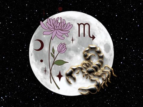 Intuitive Astrology: Scorpio Full Moon April 2024 - Forever Conscious Scorpio Moon Art, Full Moon Scorpio, Scorpio Full Moon, Traditional Astrology, Paz Hippie, May Full Moon, Scorpio Art, Astrology Scorpio, Moon Rituals