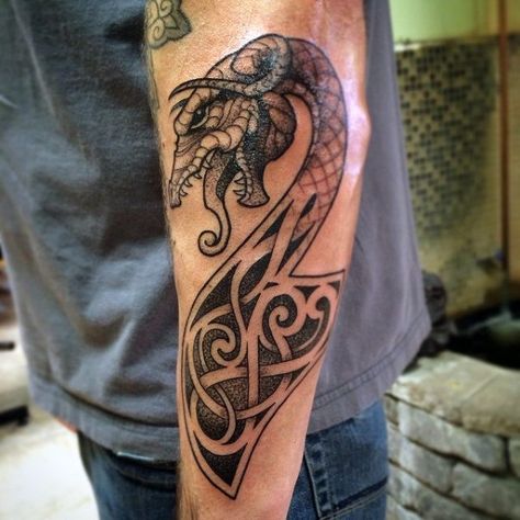 Man With Dragon Norse Tattoo Forearms Viking Dragon Tattoo, Nordic Tattoos, Viking Tattoos For Men, Traditional Viking Tattoos, Germanic Tribes, Viking Dragon, Tattoo Inspiration Men, Norse Tattoo, Nordic Tattoo