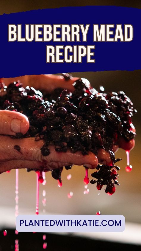 Blueberry Mead Recipe Blueberry Mead, Mead Making, Mead Recipes, Mead Recipe, Honey Wine, Mead, Blueberries, Yeast, Gluten Free Vegetarian