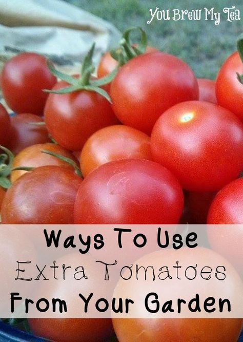 Ways To Use Extra Tomatoes From Your Garden - You Brew My Tea Using Tomatoes From Garden, Ways To Use Tomatoes From Garden, Extra Tomatoes What To Do With, What To Do With Extra Tomatoes, What To Do With Garden Tomatoes, Garden Tomatoes What To Do With, What To Do With Tomatoes From Garden, Extra Tomatoes, Homesteading Recipes