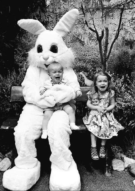 Creepy Easter Bunny, Creepy Easter, Creepy Bunny, Easter Bunny Pictures, Bunny Photo, Creepy Santa, Funny Easter Bunny, Scary Photos, Cry Babies