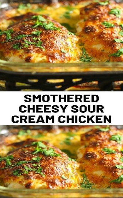 Smothered Cheesy Sour Cream Chicken Cheesy Sour Cream Chicken, Cream Chicken Recipes, Cream Chicken, Sour Cream Chicken, Chicken Dish, Cheesy Chicken, Cream Of Chicken, Chicken Dinner Recipes, Easy Chicken Recipes