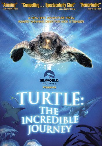 Turtle: The Incredible Journey is a remarkable story of a little loggerhead… Perry Georgia, Georgia Summer, United States Geography, Miranda Richardson, The Great Movie, Loggerhead Turtle, Travel Georgia, The Incredible Journey, Homeschool Geography