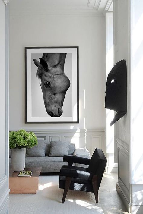 Art Galaxie, Horse Room, Equestrian Chic, Renovation Inspiration, Horse Posters, Casa Country, Equestrian Decor, Elephant Wall Art, Horse Decor