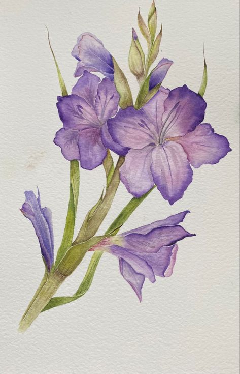 Gladiolus Watercolor Painting, Gladiolus Flower Watercolor, Watercolor Gladiolus, Flower Tattoo Meanings, Gladiolus Flower, Christmas Painting, Tattoo Meaning, Watercolor Flowers Paintings, Watercolor Sketch