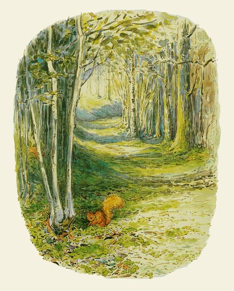 Beatrix Potter "Squirrel Nutkin" 1903 background study | Flickr Peter The Rabbit, Squirrel Nutkin, Beatrix Potter Illustrations, Background Study, Children's Stories, Storybook Art, Ink And Watercolor, Plant Drawing, Cartoon Background