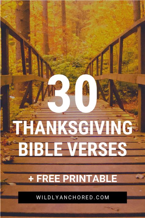 Celebrate the season of thankfulness with these 30 Thanksgiving Bible Scriptures. Includes FREE Printable! Thanksgiving Bible Verses Printables, November Scripture, Thankful Bible Verses, Thanksgiving Verses, Changing Mindset, Thanksgiving Devotions, Thanksgiving Scripture, Short Scriptures, Thanksgiving Bible Verses