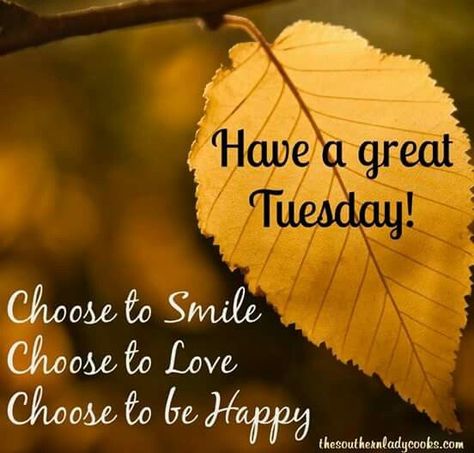 Monday Sayings, Tuesday Quotes Good Morning, Tuesday Images, Tuesday Greetings, Motivation Funny, Bon Mardi, Happy Tuesday Quotes, Good Morning Tuesday, Morning Memes