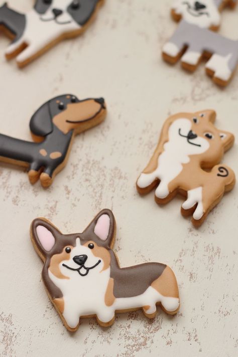 Dogs Corgi, Homemade Dog Cookies, Dog Biscuit Recipes, Sugar Cookie Royal Icing, Cat Cookies, 강아지 그림, Animals Dogs, Pretty Cookies, Dog Cookies