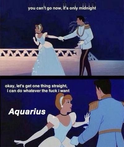 50 Best Aquarius Memes That Describe This Zodiac Sign | YourTango Memes, Funny