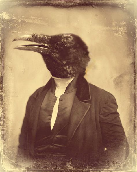 Surreal Crow Art Raven Anthropomorphic Art by WatchfulCrowArts Hollywood Glamor, Victorian Wall Art, Vintage Foto's, Raven Bird, Sepia Photography, Crow Art, Raven Art, Crows Ravens, Surrealism Photography