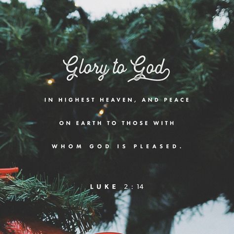 “Glory to God in highest heaven, and peace on earth to those with whom God is pleased.” ‭‭Luke‬ ‭2:14‬‬ Woord Van God, Praising God, Quotes Christmas, Christmas Bible, Glory To God, Luke 2, Bible Challenge, Bible Plan, 22 December