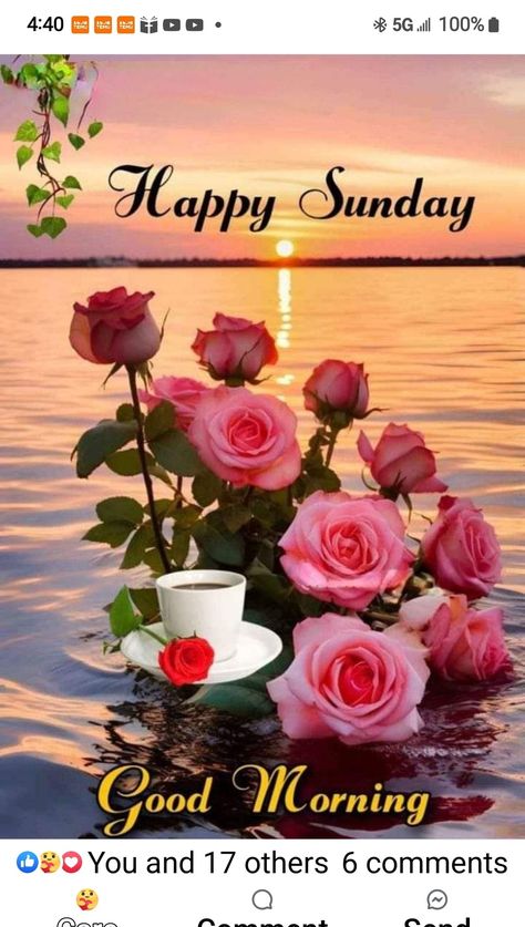 Sunday Wishes Beautiful, Sunday Morning Wishes Beautiful, Happy Sunday Morning Beautiful, God Morning Quotes, Happy Sunday Flowers, Sunday Morning Images, Sunday Morning Wishes, Sunday Flowers, Happy Sunday Images