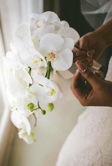 30 Beautiful Single-Stem Wedding Bouquets | Wedding Forward Single Stem Orchid Bouquet, Small White Orchid Bouquet, Single Stem Wedding Bouquet, Simple Orchid Bouquet, Small Orchid Bouquet, Nikah Bouquet, Orchid Hand Bouquet, Single Stem Bridesmaid Bouquet, Single Stem Bouquet