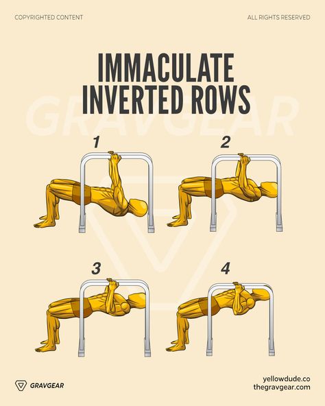 Inverted Rows Workout, Calisthenic Workout, Calisthenics Workout For Beginners, Inverted Row, Morning Workout Routine, Suspension Trainer, Best Gym Workout, Workouts For Men, Gym Workouts For Men