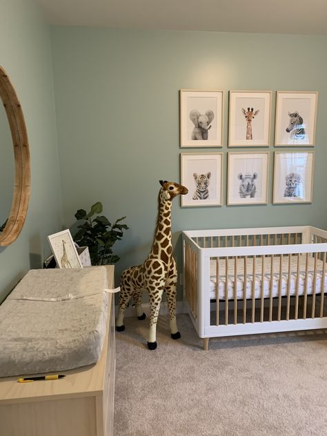 Light Green Safari Nursery, Unisex Green Nursery, Sage Green Elephant Nursery, Best Green For Nursery, Safari Nursery Green Accent Wall, Sage And Wood Nursery, Safe Green Nursery Ideas, Nursery Ideas Light Green, Green Beige Nursery