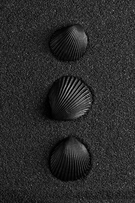 black wallpaper for girls Black And Ivory Aesthetic, Jewelry Photography Dark Background, Dark Black Wallpaper Iphone Backgrounds, Black Classy Wallpaper, Black Nature Aesthetic, Black Summer Aesthetic, Aesthetic Black Wallpaper Dark, Wallpaper Iphone Backgrounds Black, Black Wallpaper Iphone Backgrounds