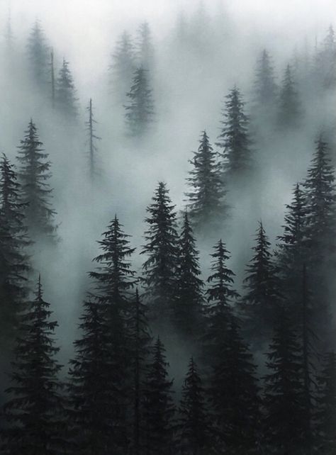 Misty Forest Tattoo, Foggy Forest Tattoo, Forest Fog Painting, Foggy Forest Painting, Forest Mist, Forest Tattoos, Foggy Forest, Extra Large Canvas, Misty Forest