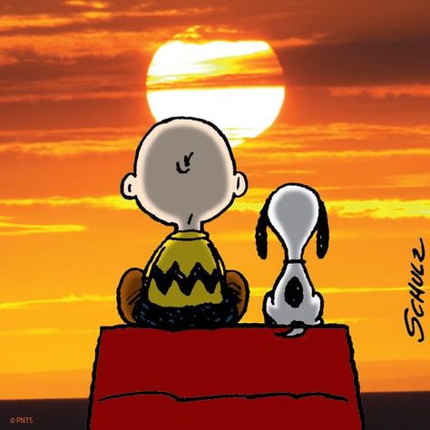 Summer Sunset #Snoopy #charliebrown                                                                                                                                                                                 More Panama Fashion, Charlie Brown Cartoon, Wallpaper Snoopy, Brown Cartoon, Lucy Van Pelt, Peanuts Cartoon, Charlie Brown Snoopy, Peanuts Characters, Snoopy Wallpaper