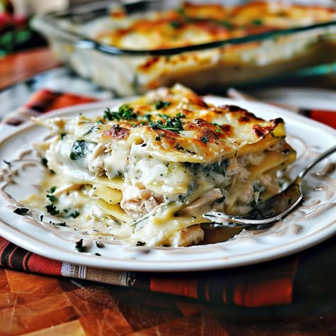 Discover the creamy delight of White Cheese Chicken Lasagna, a rich and satisfying twist on the traditional Italian favorite. White Cheese Chicken Lasagna, White Chicken Lasagna, Ricotta Stuffed Chicken, Chicken Lasagna Recipe, White Lasagna, Creamy White Sauce, Chicken Alfredo Lasagna, Alfredo Lasagna, Traditional Lasagna