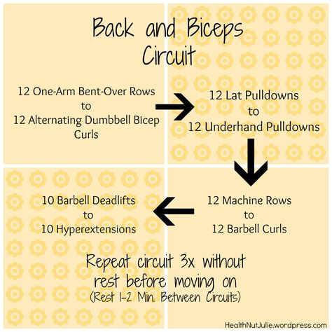 Back and Biceps Circuit Workout Back And Biceps Workout, Back And Bicep Workout, Circuit Workouts, Weight Lifting Routine, Weight Workouts, I'm Exhausted, Bicep Workout, Abs Exercise, Staying Strong