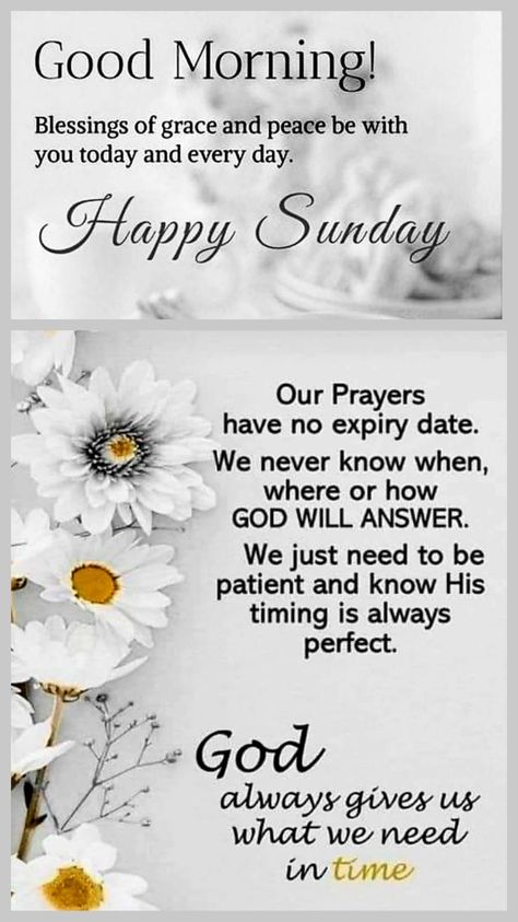 Good Morning Sunday Blessings Prayers, Sunday Blessings Inspiration, Good Morning Family Quotes, Nights Quote, Blessed Sunday Morning, Good Morning Scripture, Inspirational Morning Prayers, Weekly Blessings, Good Morning Prayer Quotes