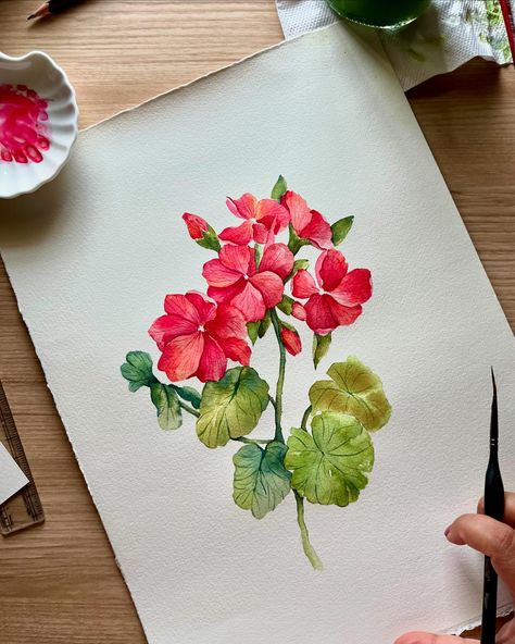 Geranium Watercolor Painting, Geranium Watercolor, Geranium Flower, Colour Painting, Watercolor Invitations, Water Colour, Modern Floral, May 21, Geraniums