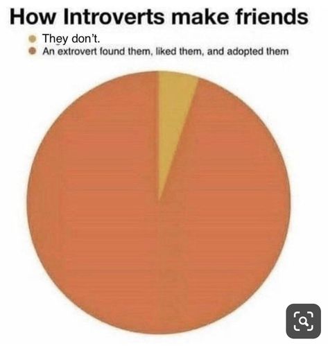 Funny Pie Charts Crush, Funny Pie Charts, Real Memes, Funny Charts, Pie Charts, Funny True Quotes, Some Funny Jokes, Whisper Confessions, Orange And Yellow