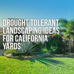 Draught Tolerant Landscape, Drought Tolerant Landscape Backyard, Drought Tolerant Landscape Design, Drought Tolerant Landscape Front Yard, California Landscaping, Artificial Grass Backyard, Drought Resistant Landscaping, California Drought, Natural Landscaping