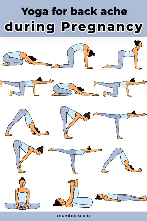 Pregnant Yoga, Best Pregnancy Workouts, Yoga Poses For Back Pain, Prenatal Yoga Poses, Pregnancy Yoga Poses, Pregnancy Stretches, Exercise While Pregnant, Pregnancy Back Pain, Pregnancy Workout Videos