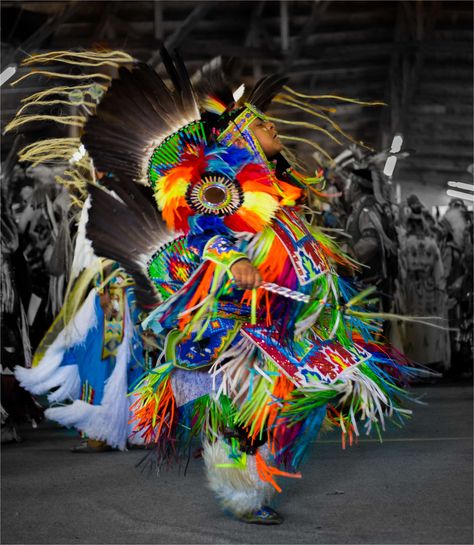 pow wow | Christopher Martin Photography Pow Wow Regalia, Grass Dance Outfits, Dance Graphic, Native American Dance, Powwow Regalia, American Day, Native American Regalia, Native American Traditions, Indigenous Peoples Day