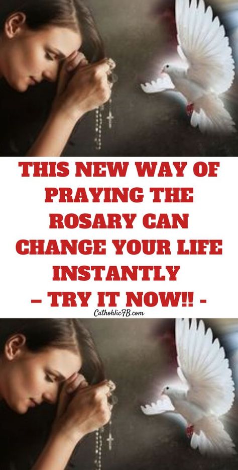 Mary Craft, Praying The Rosary Catholic, Rosary Novena, Rosary Prayers Catholic, Family Prayers, Catholic Prayers Daily, Praying Woman, Church Newsletter, Catholic Beliefs