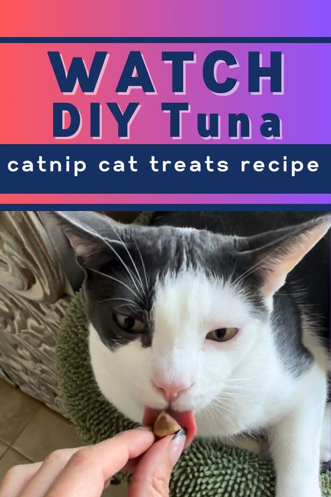 Want a step-by-step guide? Watch our YouTube video on how to make these easy and healthy DIY cat treats with tuna and catnip 🐟🌿. Perfect for keeping your kitty happy and healthy! 😺 #DIYCatTreats #WatchNow #CatTreatsTutorial Diy Cat Treats Recipes, Diy Cat Treats, Diy Cat Food, Catnip Treats, Treats For Cats, Catnip Cat, Watch Diy, Diy Treats, Cat Treat Recipes