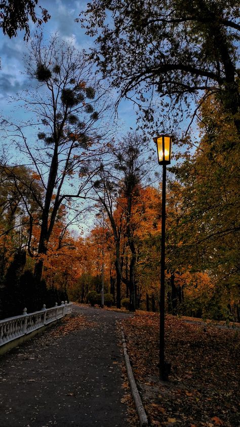 Autumn park, evening Fall Mood, Autumn Scenery, I Love Fall, Best Seasons, Fall Pictures, Cozy Autumn, Autumn Vibes, Love Fall, Autumn Halloween