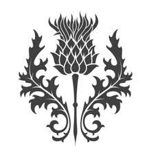 Thistle Tattoo Black, Scottish Thistle Tattoo, Smash Book Inspiration, Thistle Tattoo, Thistles Art, Rose Tattoos For Men, Small House Decorating, Thistle Flower, Bee Tattoo