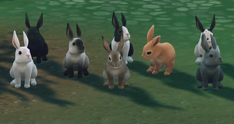 Whether you are impatient or just like cute creatures hopping across your screen, you can cheat some bunnies into your Sims 4 Cottage Living game quick, quick. Sims 4 Cottage Living Animals, Sims 4 Pet Bunny, Sims 4 Cottage Living Mods, Sims 4 Rabbit Cc, Sims 4 Bunny Cc, Sims 4 Animal Cc, Sims 4 Cc Animals, Wild Bunny, Bunny Dance