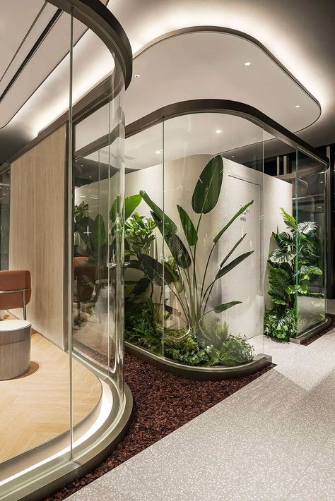 Biofilic Design, Futuristic Office, Eye Clinic, Office Interior Design Modern, Interior Architecture Drawing, Green Office, Modern Office Design, Lobby Interior, Clinic Design