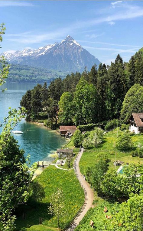 Emerald Tiara, العصور الوسطى, Places In Switzerland, Green Scenery, Image Nature, Emerald Bracelet, Air Terjun, Scenic View, Beautiful Places Nature