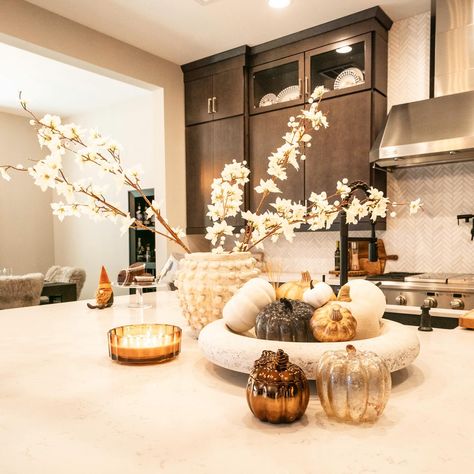 It’s beginning to feel like fall, y’all! 🍂🕯️ Who’s ready for pumpkin season? 🙋🏽‍♀️ time to bring back our fall styling sesh from #LDModernPhoenix - one of my personal favorite tablescapes we’ve done! #loftydesigns #loftydesignsllc #interiordesign #interioredesigner #interiorarchitecture #lasvegasinteriordesigner #lasvegasdesign #lasvegasinteriordesign #homedecor #renovation #newbuild #home #design #styling #diningroom #dining #diningroomdesign Book Styling, Pumpkin Season, Pumpkin Seasoning, Dining Room Design, Fashion Books, New Builds, Bring Back, Holiday Fashion, Tablescapes