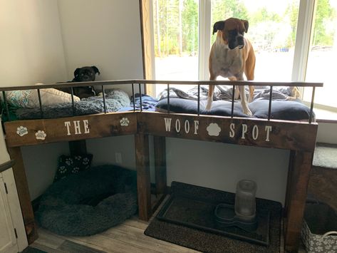 Large Dog Bunk Beds, Window Bed For Dog, Diy Dog Bunk Beds For Large Dogs, Dog Hangout Space, Bedroom With Dog Area, Bunk Beds For Dogs, Large Dog Bed Ideas Diy, Window Bench For Dogs, Dog Window Bed