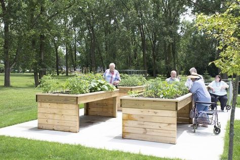 Accessible Raised Garden Beds, Raised Garden Beds For Seniors, Raised Gardens For Elderly, Wheelchair Accessible Garden, Community Garden Ideas, Senior Gardening, Gardening Raised Beds, Accessible Garden, Raised Planters