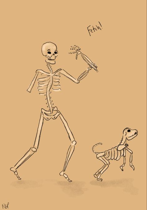 Skeleton dog Skeleton Dog Wallpaper, Human And Dog Skeleton Tattoo, Skeleton And Dog Tattoo, Skeleton Dog Tattoo, Dog Skeleton Tattoo, Skeleton Labeled, Vet Study, Kiznaiver Anime, Human Skeleton Anatomy