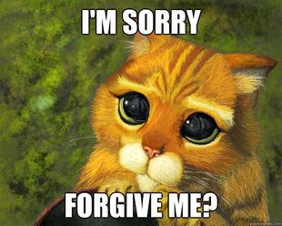 Aww Forgive Me Meme, Im Sorry Meme, Sorry Memes, Im Sorry Quotes, Behavior Quotes, Sorry Quotes, Bae Quotes, Interesting Animals, I M Sorry