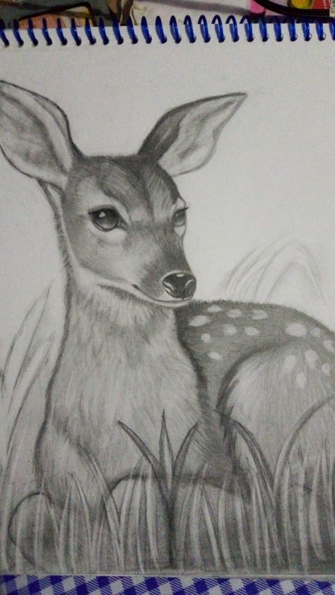 Animal Shading Drawing, Pencil Shading Animals, Shading Drawing Sketches Artworks, Deer Drawing Sketches, Charcoal Art Easy, Pencil Sculpture, Animal Sketches Easy, Marriage Proposal Ideas, Deer Sketch