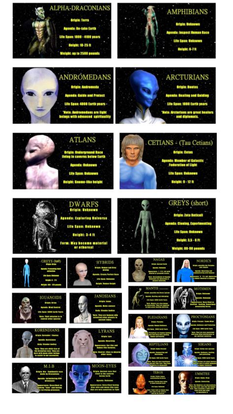 Alien Images, Types Of Aliens, Galactic Art, Aliens History, Alien Species, Ancient History Facts, Transformers Decepticons, Aliens And Ufos, Alien Races