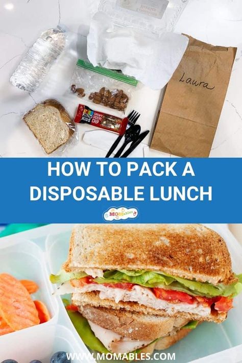 How to pack a completely disposable lunch for a school picnic or field trip. Healthy Field Trip Lunches, Field Trip Lunch Ideas For Parents, Sack Lunch For Field Trip, Field Trip Sack Lunch Ideas, Field Trip Lunch Ideas Kids Disposable, Brown Bag Lunch Ideas Field Trip, School Field Trip Lunch Ideas, Sack Lunch Ideas For Kids Field Trip, Lunch Ideas For Field Trips